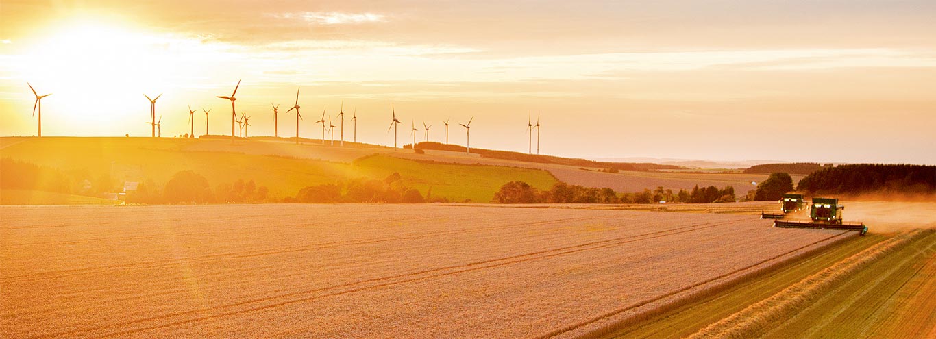 Deux ensileuses en action dans un champ avec un champ d’éolienne au loin