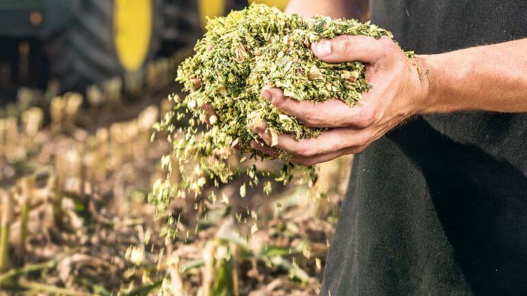 Propriétés d'ensilage de maïs