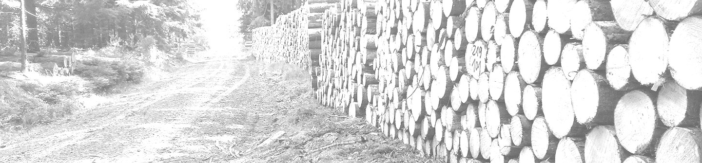 Logpiles by the roadside