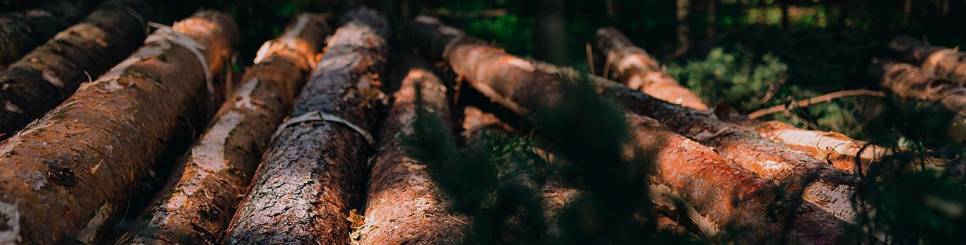 Logpiles by the roadside