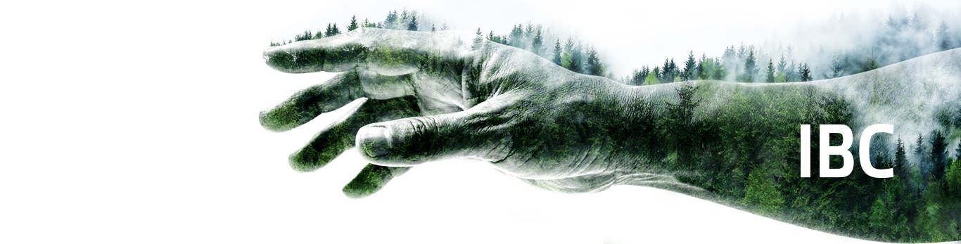 Un bras et un forêt