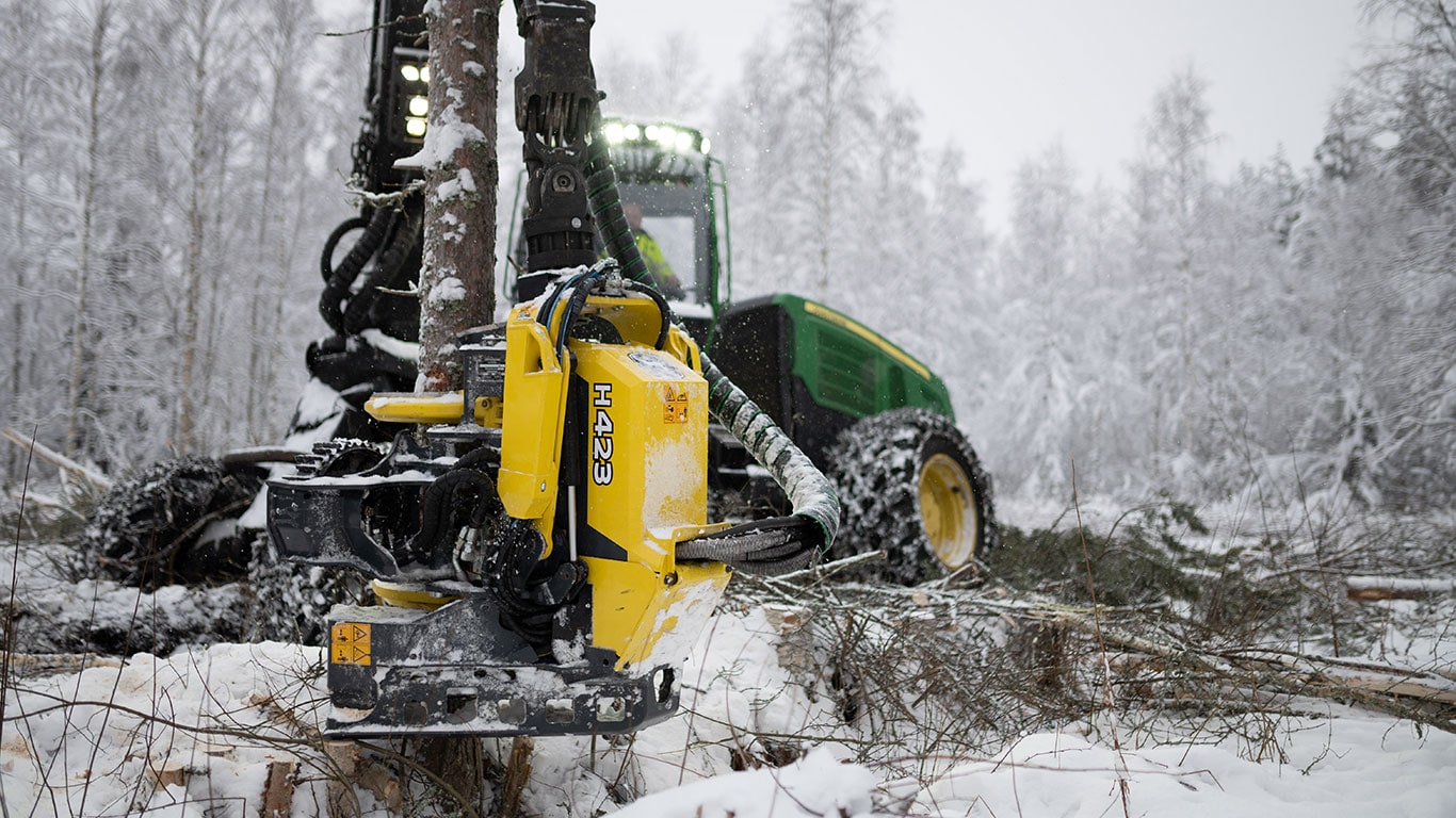 Abatteuse dans une forêt