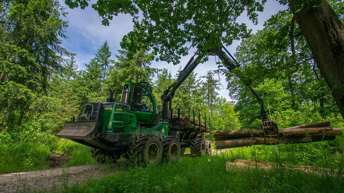 Porteur en forêt