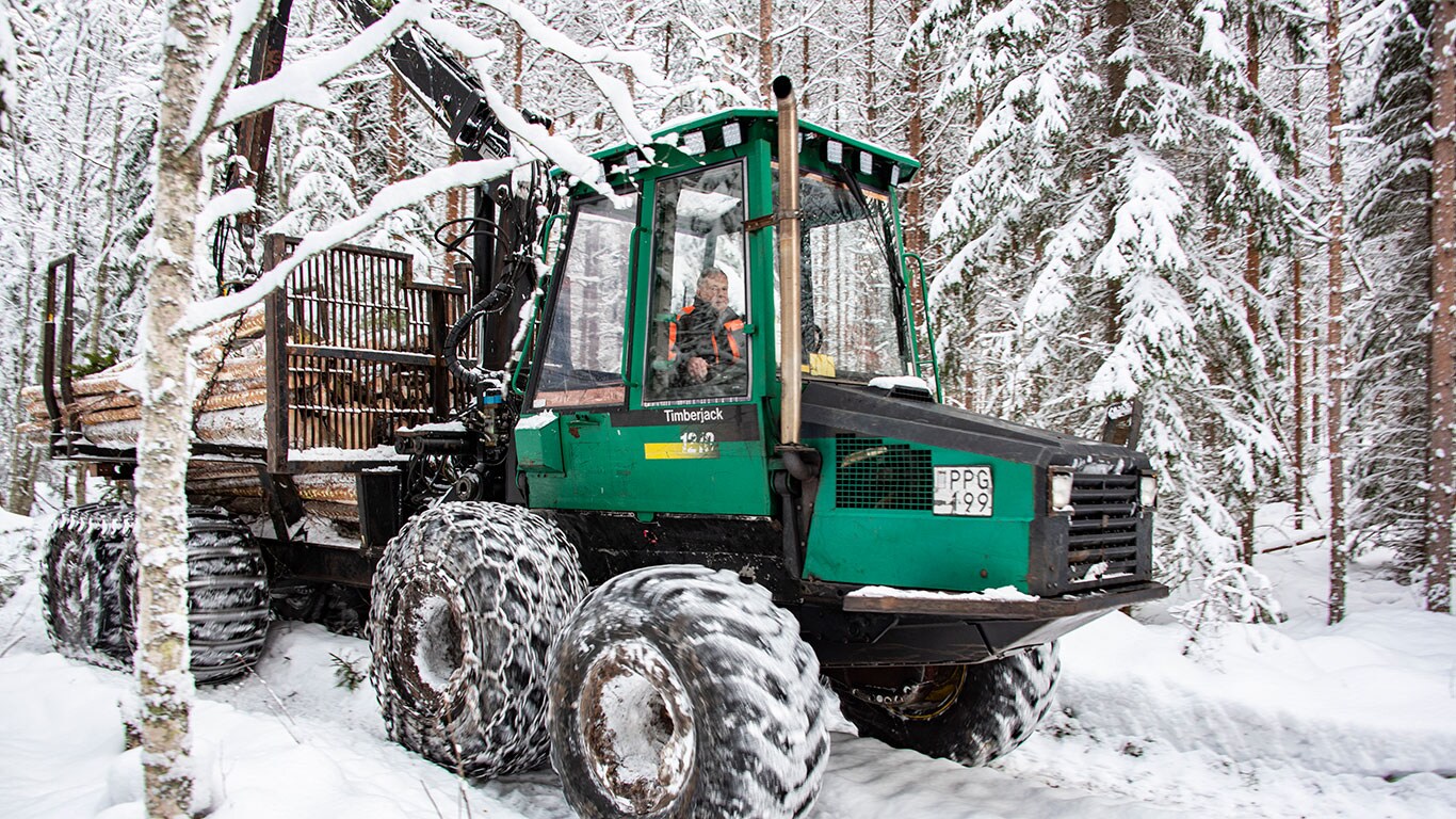 Timberjack