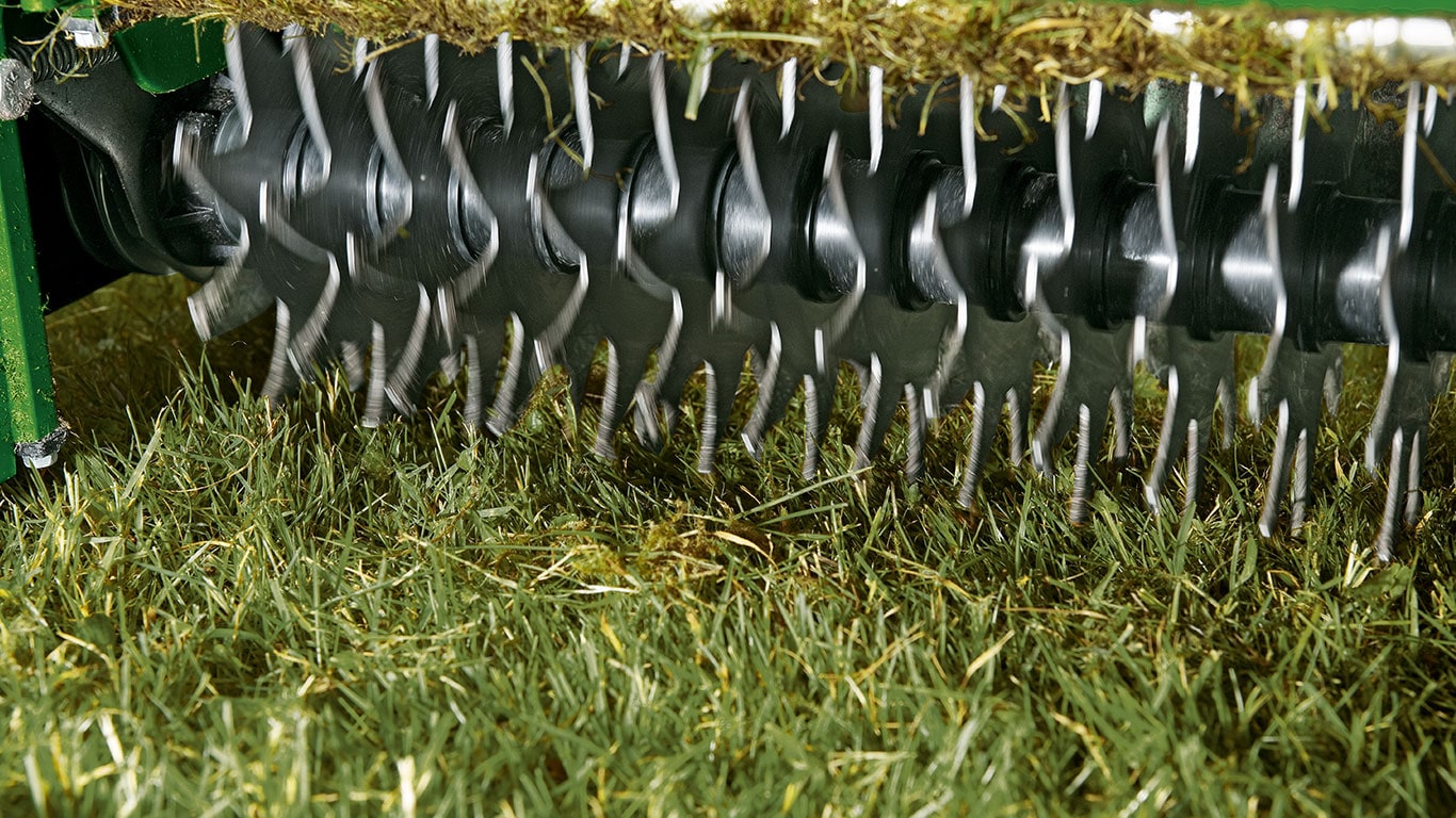 Qu’est-ce que la formation d'un tapis ? En été, les restes d'herbe et de plantes s'accumulent entre les brins d'herbe, et finissent par recouvrir le gazon, ce qui obstrue le sol.