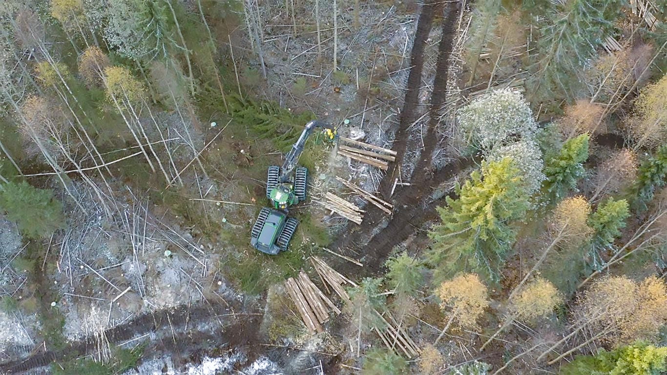 Abatteuse dans la forêt